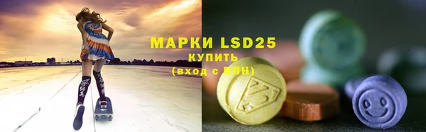 твердый Богородицк